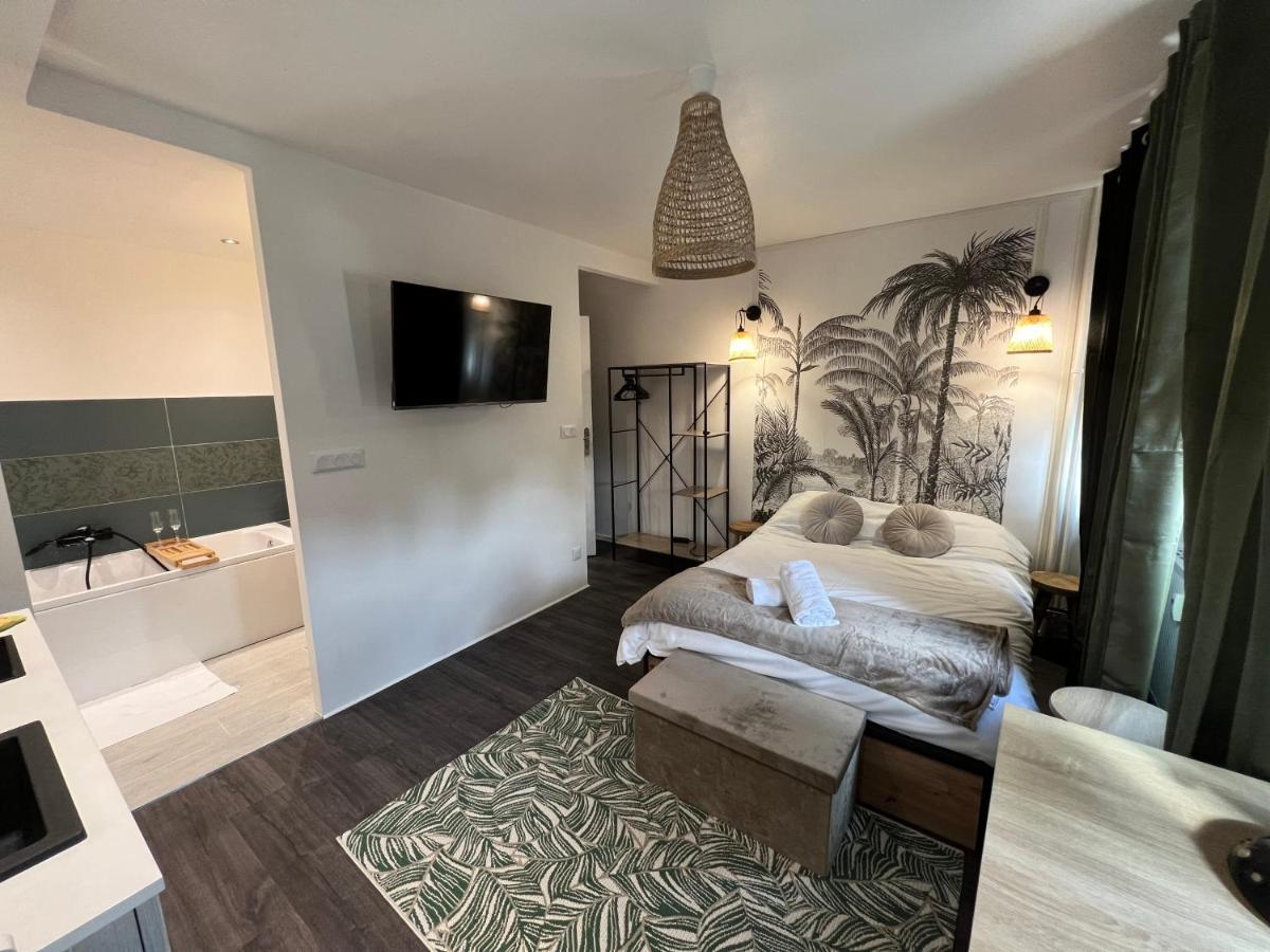 Apartament L'Ancillon Metz Gare Wifi Un-Sejour-A-Part Zewnętrze zdjęcie